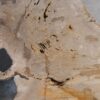 Coffee table petrified wood 55294