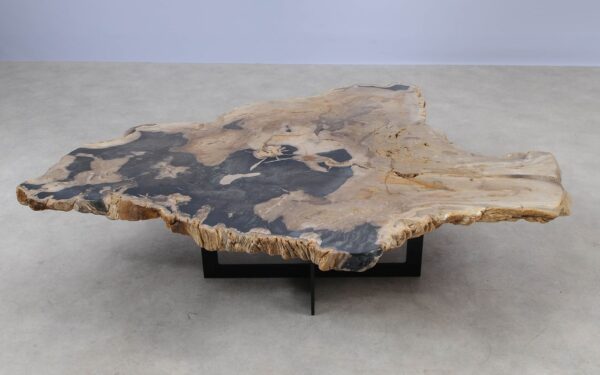 Coffee table petrified wood 55294