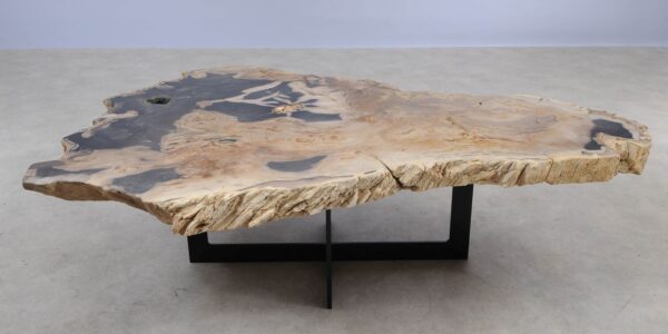 Coffee table petrified wood 55295