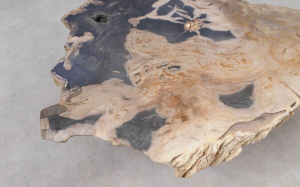 Coffee table petrified wood 55295