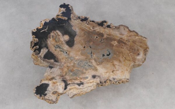 Coffee table petrified wood 55296