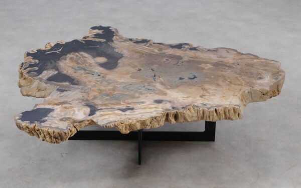 Coffee table petrified wood 55296