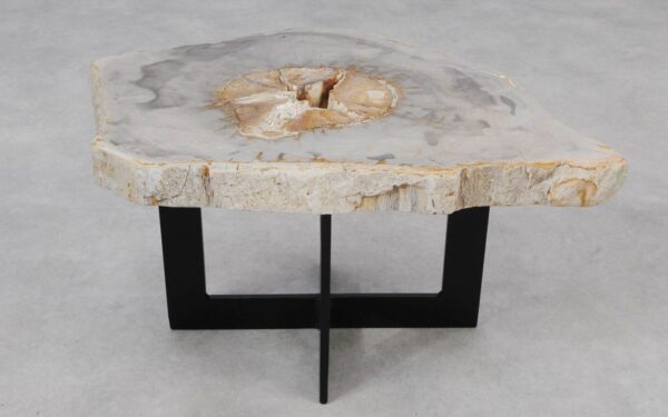 Coffee table petrified wood 55297