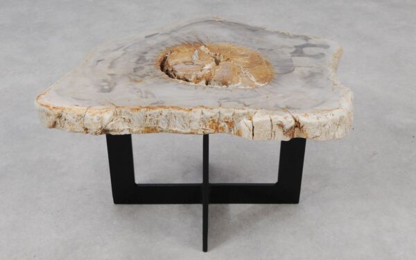 Coffee table petrified wood 55298