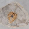 Coffee table petrified wood 55299
