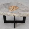 Coffee table petrified wood 55299