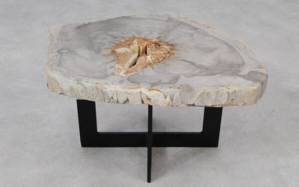 Coffee table petrified wood 55299