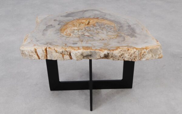 Coffee table petrified wood 55300