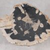 Coffee table petrified wood 55301