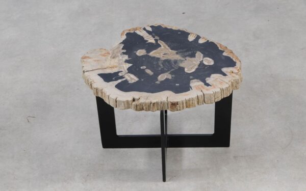 Coffee table petrified wood 55301