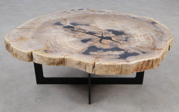 Coffee table petrified wood 55302