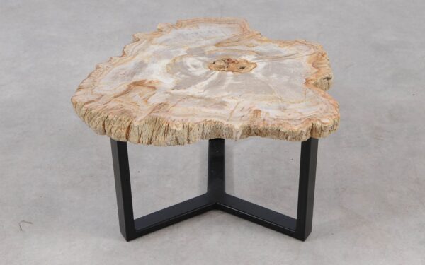 Coffee table petrified wood 55303