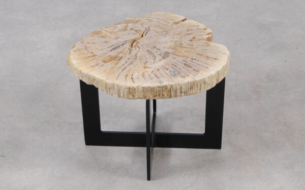 Coffee table petrified wood 55305