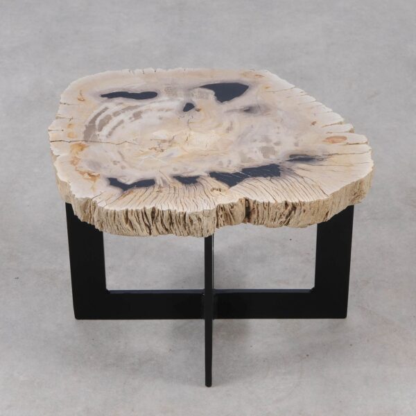 Coffee table petrified wood 55306