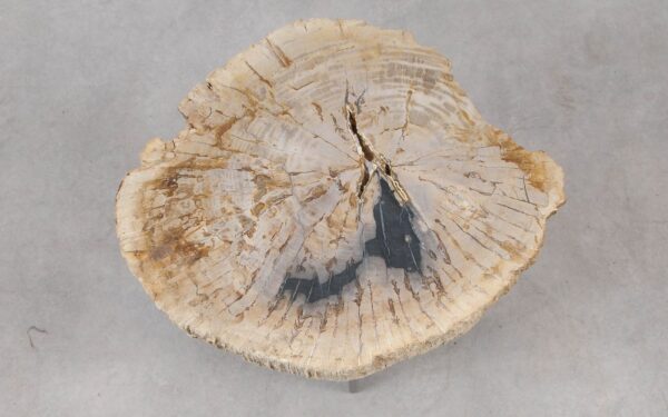 Coffee table petrified wood 55307