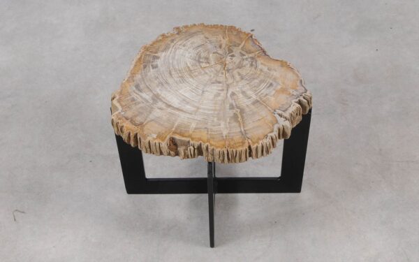 Coffee table petrified wood 55308