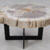 Couchtisch versteinertes Holz 55161