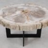 Couchtisch versteinertes Holz 55165