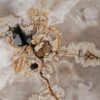 Couchtisch versteinertes Holz 55165