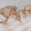 Couchtisch versteinertes Holz 55166