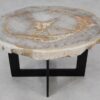 Couchtisch versteinertes Holz 55184