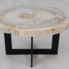 Couchtisch versteinertes Holz 55187