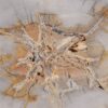 Couchtisch versteinertes Holz 55187