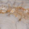Couchtisch versteinertes Holz 55192