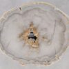 Couchtisch versteinertes Holz 55195