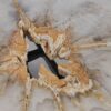 Couchtisch versteinertes Holz 55195