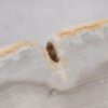 Couchtisch versteinertes Holz 55195