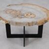 Couchtisch versteinertes Holz 55199
