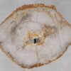Couchtisch versteinertes Holz 55210