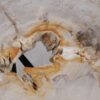 Couchtisch versteinertes Holz 55211