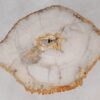Couchtisch versteinertes Holz 55215