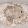 Couchtisch versteinertes Holz 55232