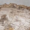 Couchtisch versteinertes Holz 55234