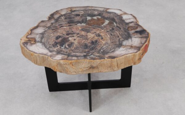 Couchtisch versteinertes Holz 55244