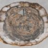 Couchtisch versteinertes Holz 55245