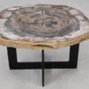 Couchtisch versteinertes Holz 55245