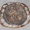 Couchtisch versteinertes Holz 55249