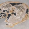 Couchtisch versteinertes Holz 55289
