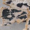 Couchtisch versteinertes Holz 55289