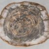 Couchtisch versteinertes Holz 55290