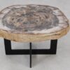 Couchtisch versteinertes Holz 55290