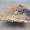 Couchtisch versteinertes Holz 55291