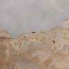 Couchtisch versteinertes Holz 55295