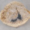 Couchtisch versteinertes Holz 55307