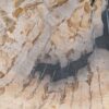 Couchtisch versteinertes Holz 55307