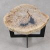 Couchtisch versteinertes Holz 55307